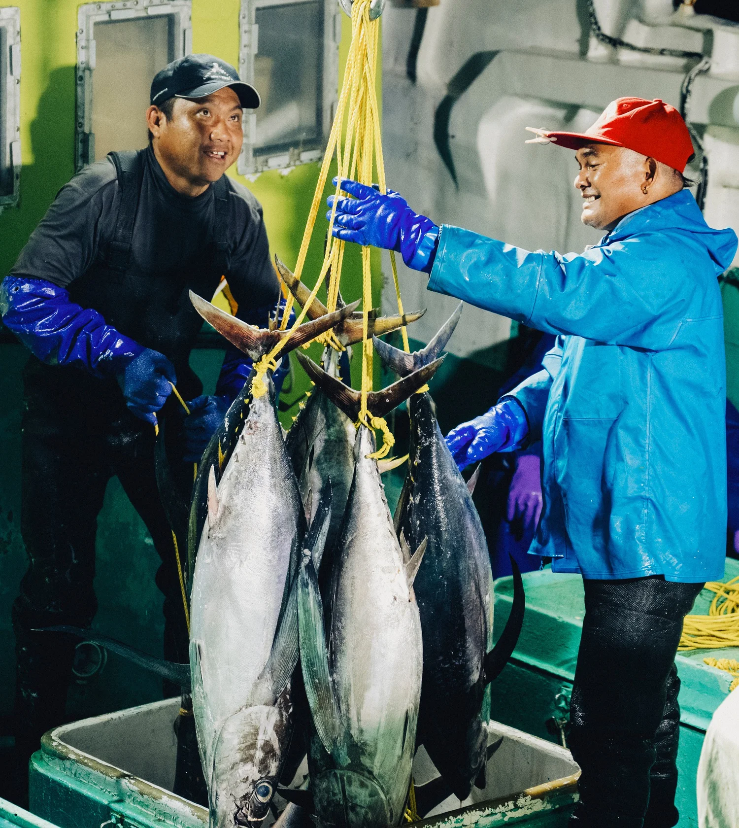 船上でまぐろを水揚げする船員