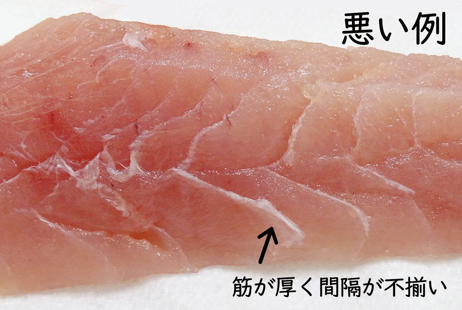 悪いまぐろ柵